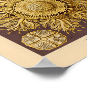 ヴィンテージディスコメダセカラーエルンストヘッケルプリント ポスター (角)