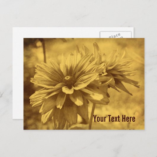 ヴィンテージデイジー花カスタマイズ可能はがき ポストカード (正面/裏面)