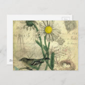 ヴィンテージデイジー ポストカード (正面/裏面)