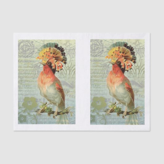 ヴィンテージデカカラフルップアートバード 薄葉紙 (正面)