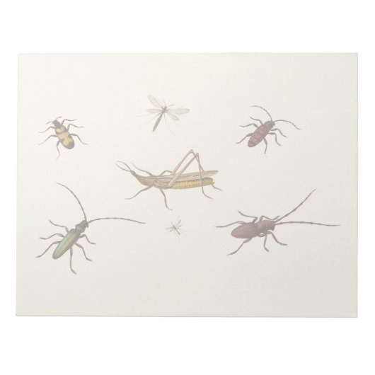 ヴィンテージデザイン7匹の違う昆虫 ノートパッド (正面)