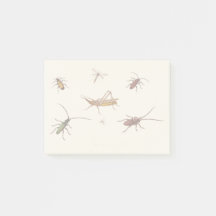 ヴィンテージデザイン7匹の違う昆虫