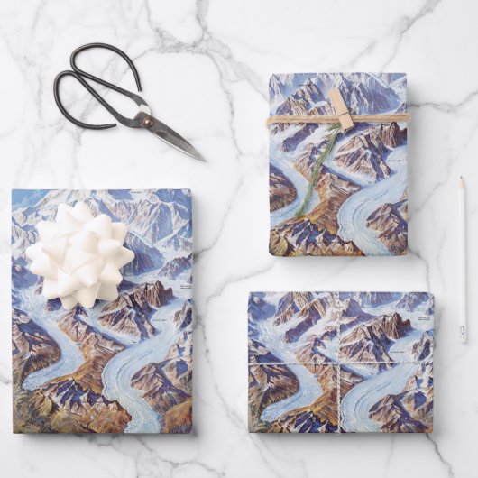 ヴィンテージデナリ国立公園レリーフ、 浮き彫り地図ポスター ラッピングペーパーシート (正面)