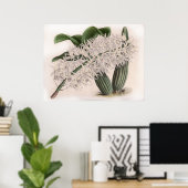 ヴィンテージデンドロビウムヒリ蘭の花 ポスター (ホームオフィス)