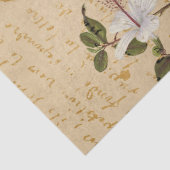 ヴィンテージトゥーカンと熱帯花の切り離し 薄葉紙 (詳細)