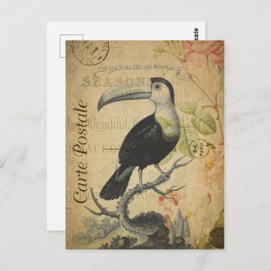 ヴィンテージトゥーカンバードピンクローズフローラ ポストカード (正面/裏面)