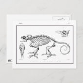 ヴィンテージトカゲ ポストカード (正面/裏面)