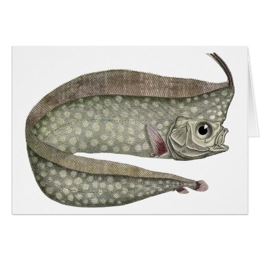 ヴィンテージトキ魚、海洋水中競技生物 (正面横)