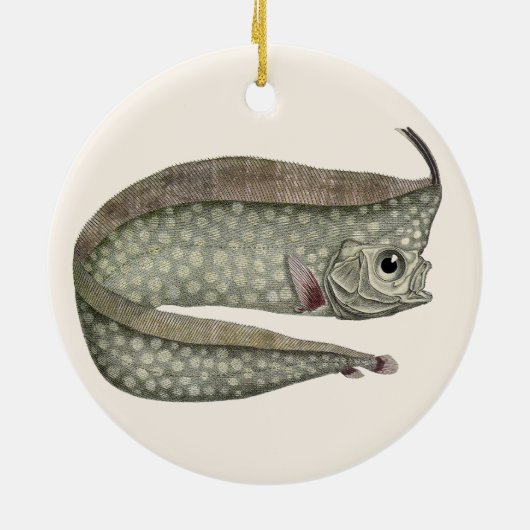 ヴィンテージトキ魚、海洋水中競技生物 セラミックオーナメント (裏面)