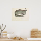 ヴィンテージトキ魚、海洋水中競技生物 ポスター (キッチン)