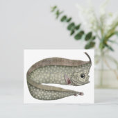 ヴィンテージトキ魚、海洋水中競技生物 ポストカード (スタンド正面)