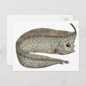 ヴィンテージトキ魚、海洋水中競技生物 ポストカード (正面/裏面)