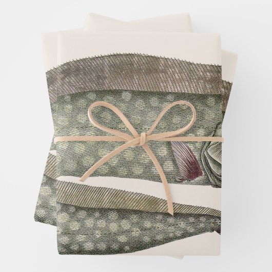 ヴィンテージトキ魚、海洋水中競技生物 ラッピングペーパーシート (インサイチュ)