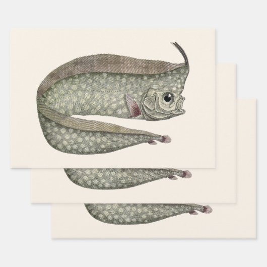 ヴィンテージトキ魚、海洋水中競技生物 ラッピングペーパーシート (セット)