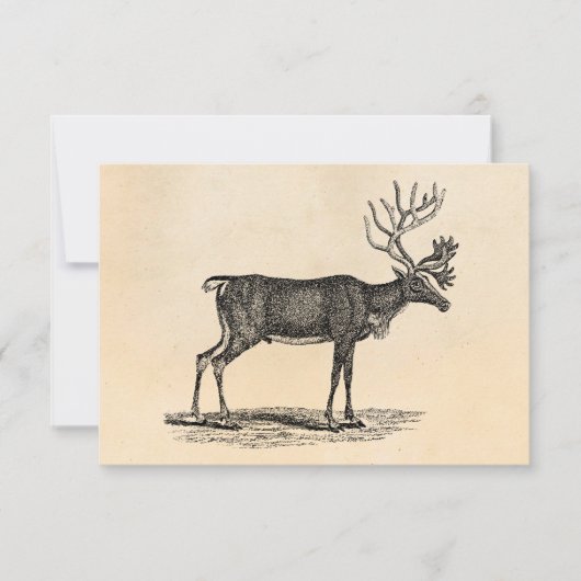 ヴィンテージトナカイイラストレーション- 1800年のクリスマス 招待状 (正面)