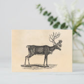 ヴィンテージトナカイイラストレーション- 1800年のクリスマス 招待状 (スタンド正面)
