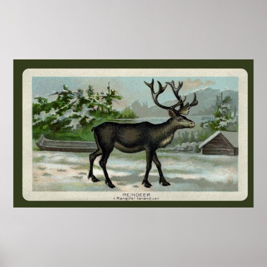 ヴィンテージトナカイプリント ポスター (正面)