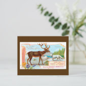 ヴィンテージトナカイ(トナカイ)と北極キツネ ポストカード (スタンド正面)