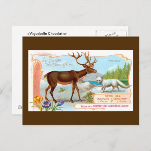 ヴィンテージトナカイ(トナカイ)と北極キツネ ポストカード (正面/裏面)