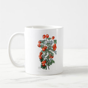 ヴィンテージトマトつる植物イラストレーション コーヒーマグカップ
