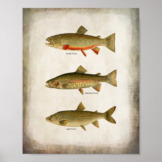 ヴィンテージトラウト湖レインボートラウトとブルックトラウト ポスター (正面)