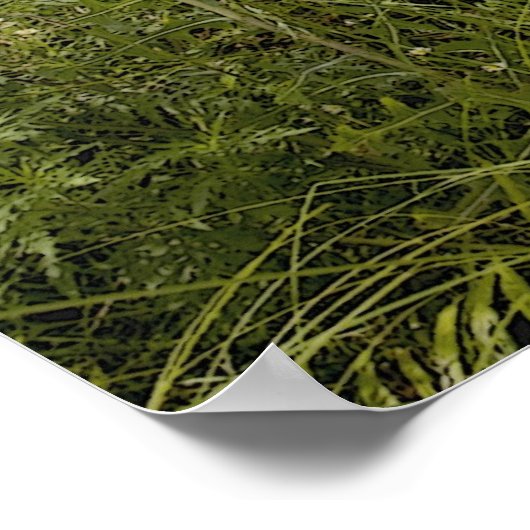 ヴィンテージトラックのポスター ポスター (角)