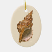 ヴィンテージトリトンシーシェルシェル、海洋海動物 セラミックオーナメント (裏面)