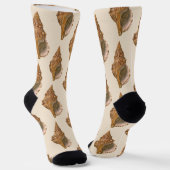 ヴィンテージトリトンシーシェルシェル、海洋海動物 ソックス (傾斜あり)