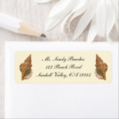 ヴィンテージトリトンシーシェルシェル、海洋海動物 ラベル (インサイチュ)