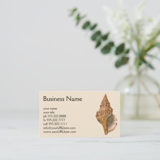 ヴィンテージトリトンシーシェルシェル、海洋海動物 名刺 (スタンド正面)