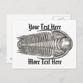 ヴィンテージトリロバイトはがき ポストカード (正面/裏面)