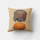 ヴィンテージトルコカボチャ感謝祭 クッション (裏面)