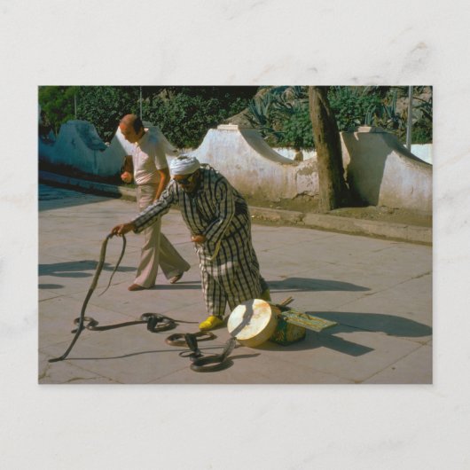 ヴィンテージトルコ – イスタンブールスネークシャーマー ポストカード (正面)