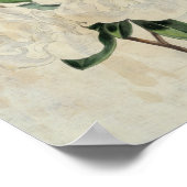 ヴィンテージトルーチェアザレア国旗 ポスター (角)