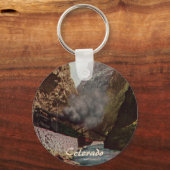 ヴィンテージトレイン王室のGorge Keychain キーホルダー (正面)