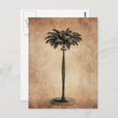 ヴィンテージトロピカルアイランドパームツリー空白のテンプレート ポストカード (正面/裏面)