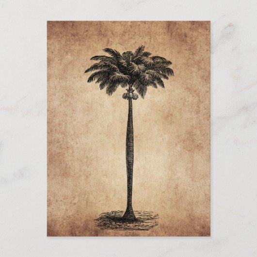 ヴィンテージトロピカルアイランドパームツリー空白のテンプレート ポストカード (正面)