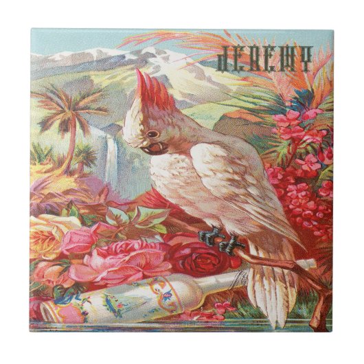 ヴィンテージトロピカルコカトゥーポスター タイル (正面)