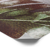 ヴィンテージトロピカルチキバードパロッ葉トバナー ポスター (角)