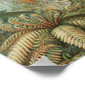 ヴィンテージトロピカルパームツリー、レトロ植物学 ポスター (角)