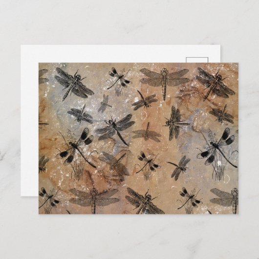 ヴィンテージトンボ動揺してイ昆虫学パターン シーズンポストカード (正面/裏面)