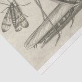 ヴィンテージトンボ昆虫減殺ティッシュペーパー 薄葉紙 (詳細)