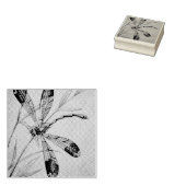 ヴィンテージトンボ4号と観葉水彩画 ラバースタンプ (押印)