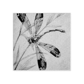 ヴィンテージトンボ4号と観葉水彩画 ラバースタンプ (インプリント)