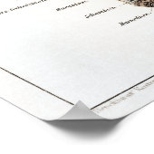 ヴィンテージドイツ人解剖図 ポスター (角)