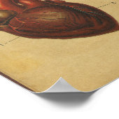 ヴィンテージドイツ解剖学プリント内臓 ポスター (角)