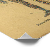 ヴィンテージドイツ解剖学プリント動脈神経 ポスター (角)