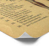 ヴィンテージドイツ解剖学プリント筋肉 ポスター (角)