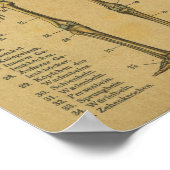 ヴィンテージドイツ解剖学プリント骨格 ポスター (角)