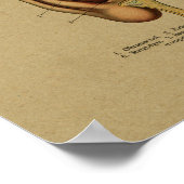 ヴィンテージドイツ解剖学的耳プリント ポスター (角)